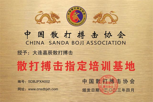 大連嘉辰散打搏擊