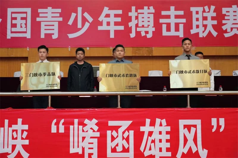 中國青少年搏擊聯(lián)賽