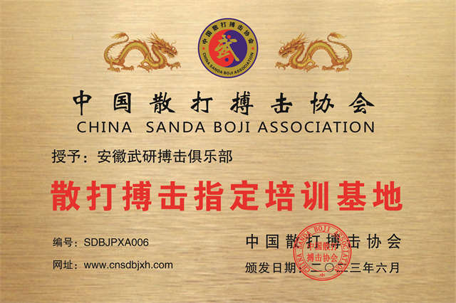 安徽武研搏擊俱樂部