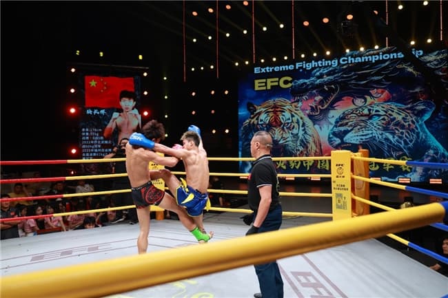2024 EFC蠻火豹中國功夫冠軍賽：星沙之戰(zhàn)，全球矚目